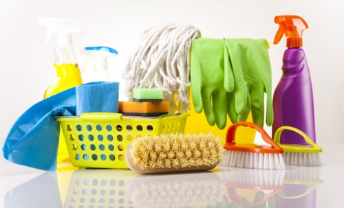 Deep cleaning carpet for pet stain odour removal in Beddington