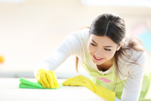 Carpet cleaning specialists removing dirt from a carpet in Beddington