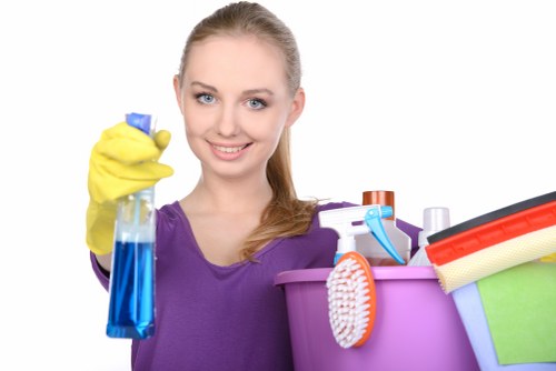 Cleaner discussing a carpet cleaning booking and appointment details