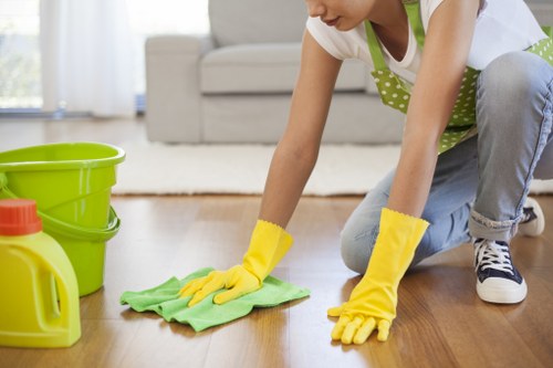 Responsible carpet cleaning business promoting human rights and accountability
